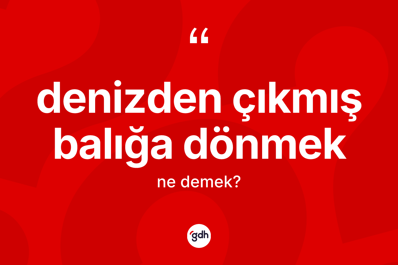 Denizden çıkmış balığa dönmek ifadesinin kısaca tanımı nedir?