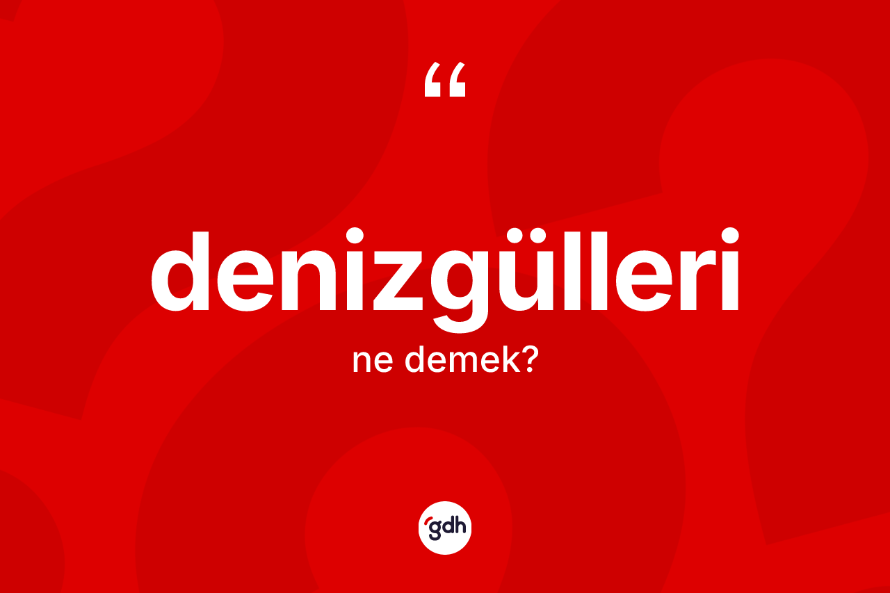 Denizgülleri ne anlama gelir? Denizgülleri kelimesinin TDK'ya göre açıklaması nedir?