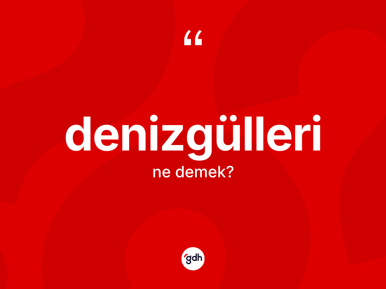Denizgülleri ne anlama gelir? Denizgülleri kelimesinin TDK'ya göre açıklaması nedir?