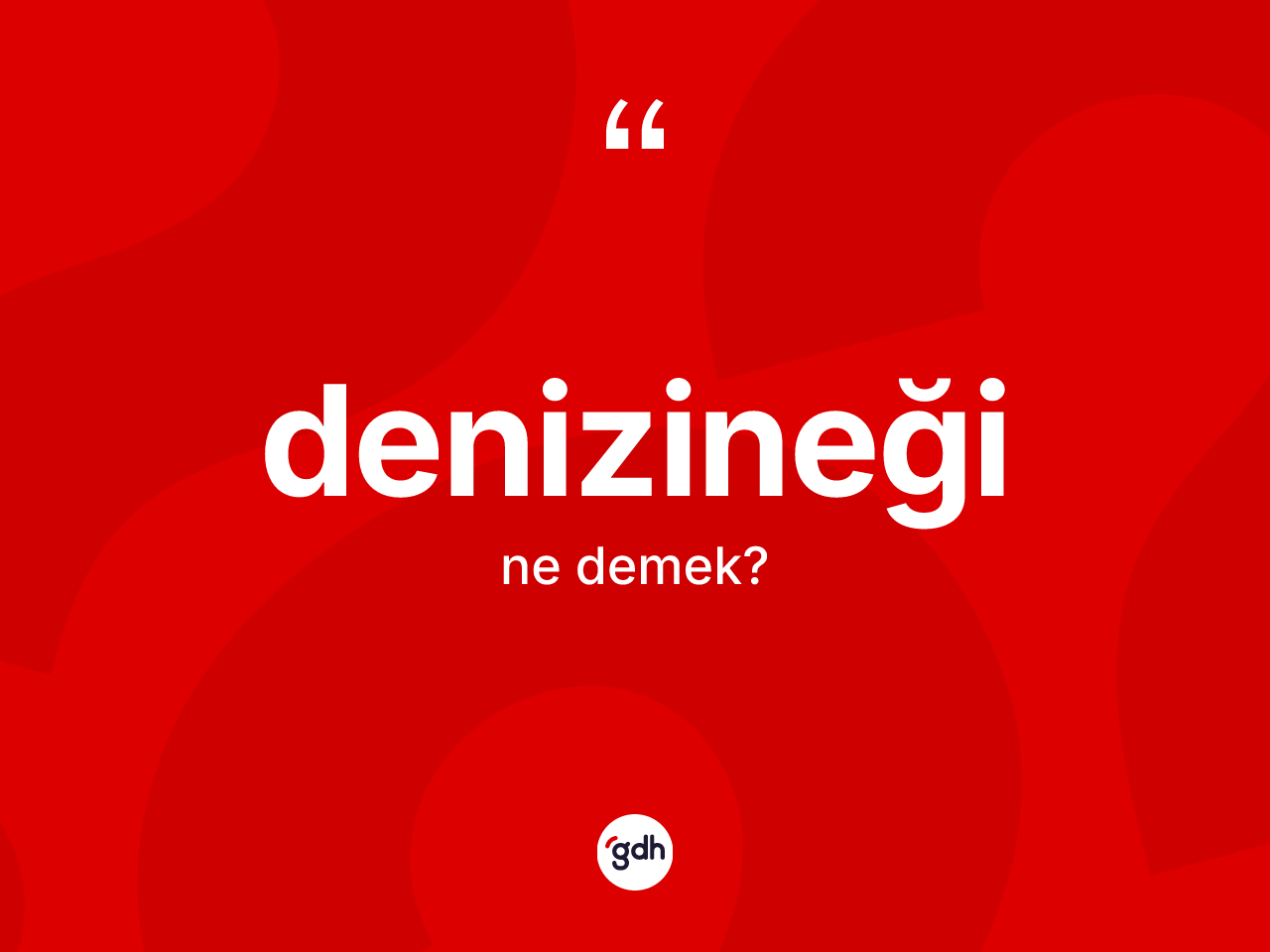 Denizineği nedir? Denizineğinin TDK'ya göre anlamı nedir?