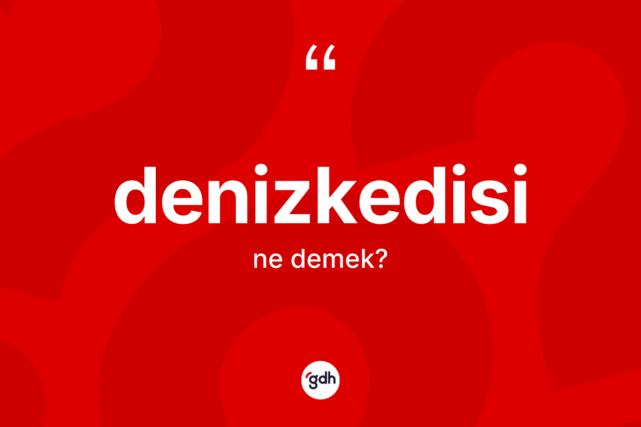 Denizkedisi kelimesinin anlamı nedir? Denizkedisinin TDK'ya göre anlamı nedir?