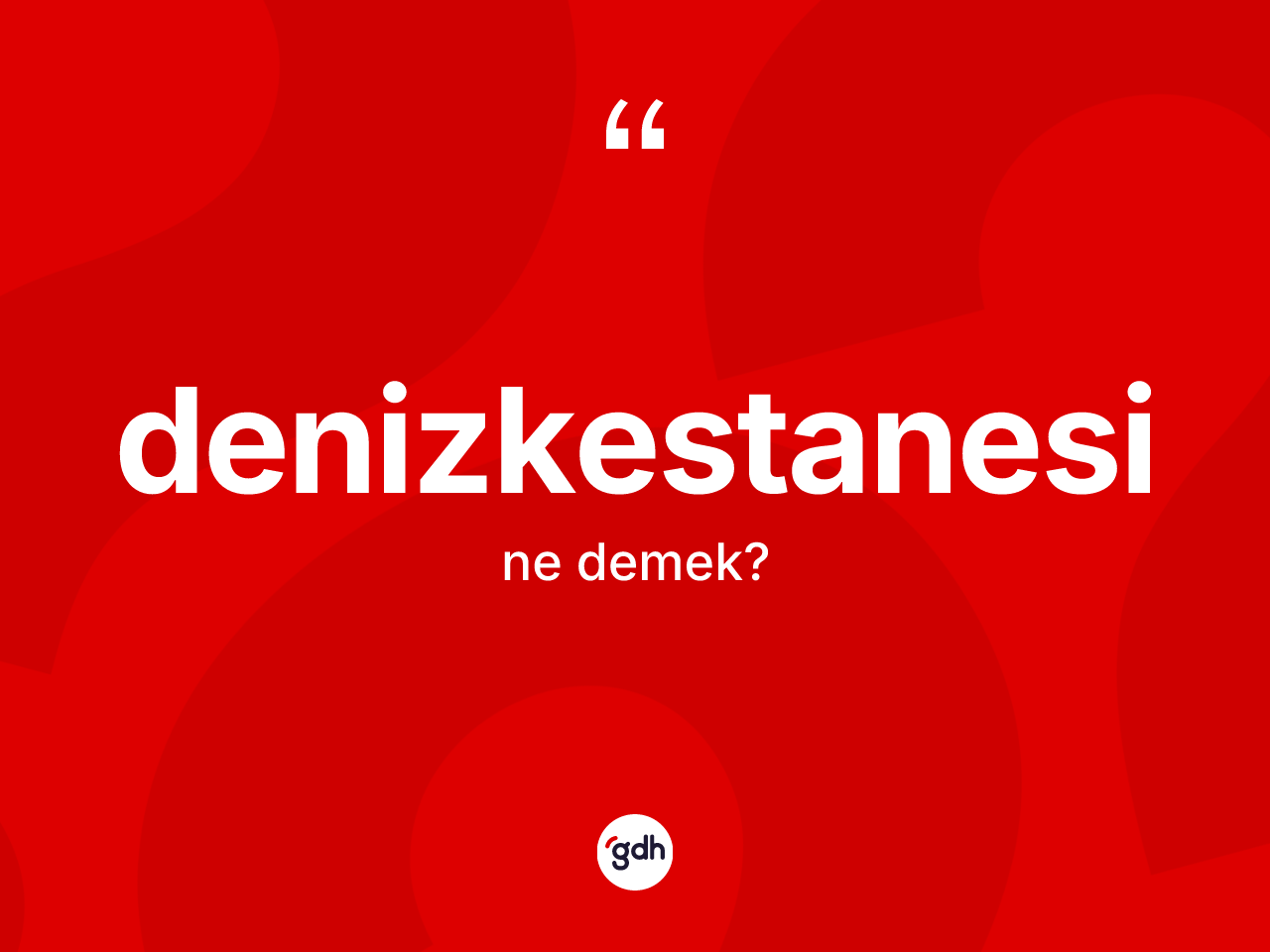 Denizkestanesi kelimesi ne demek? Denizkestanesinin TDK'ya göre anlamı nedir?
