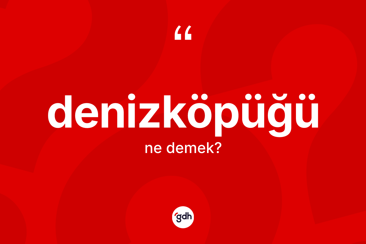 Denizköpüğü kelimesi ne anlama gelir? Denizköpüğü kelimesinin özellikleri nelerdir?