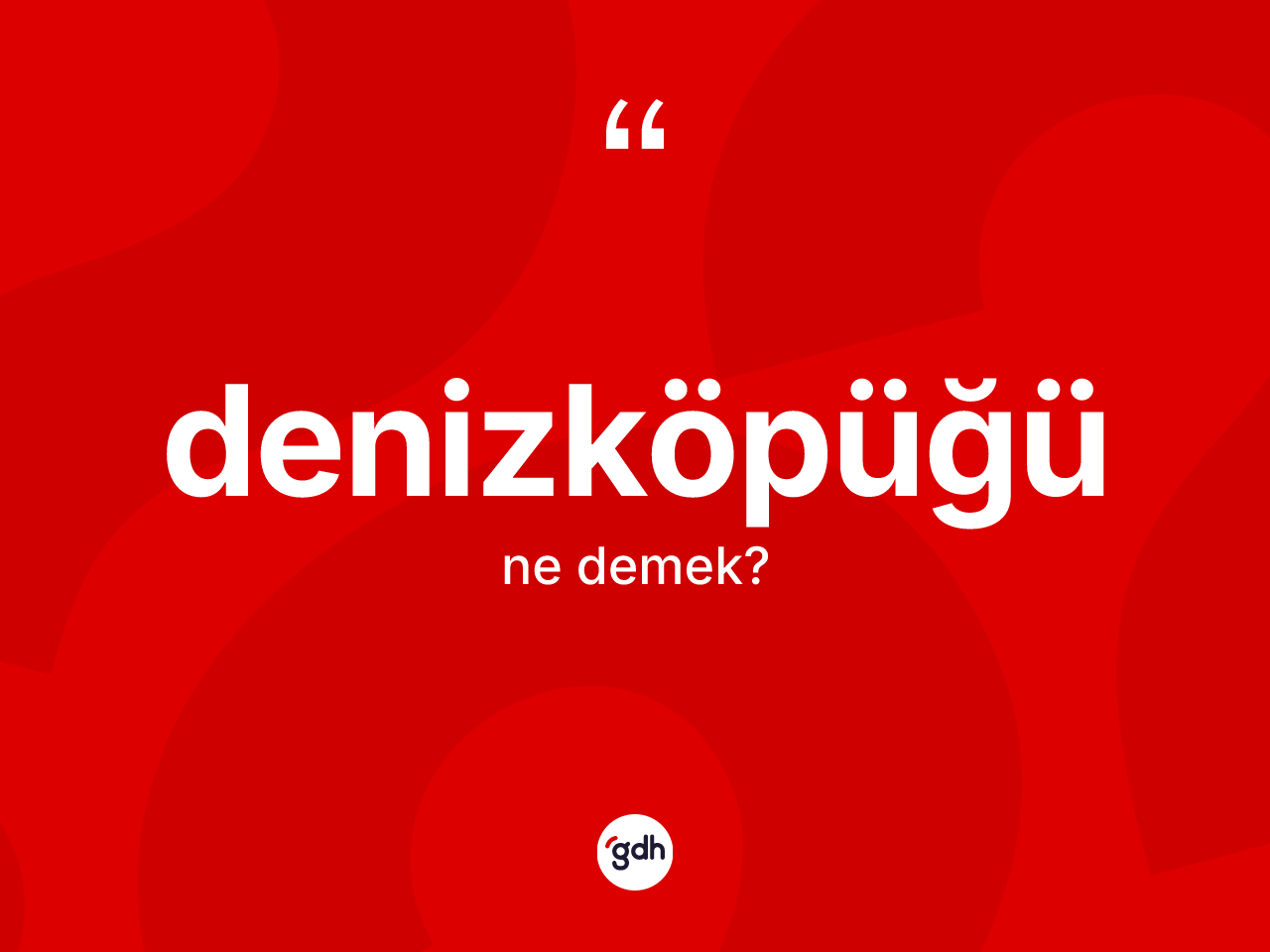 Denizköpüğü kelimesi ne anlama gelir? Denizköpüğü kelimesinin özellikleri nelerdir?