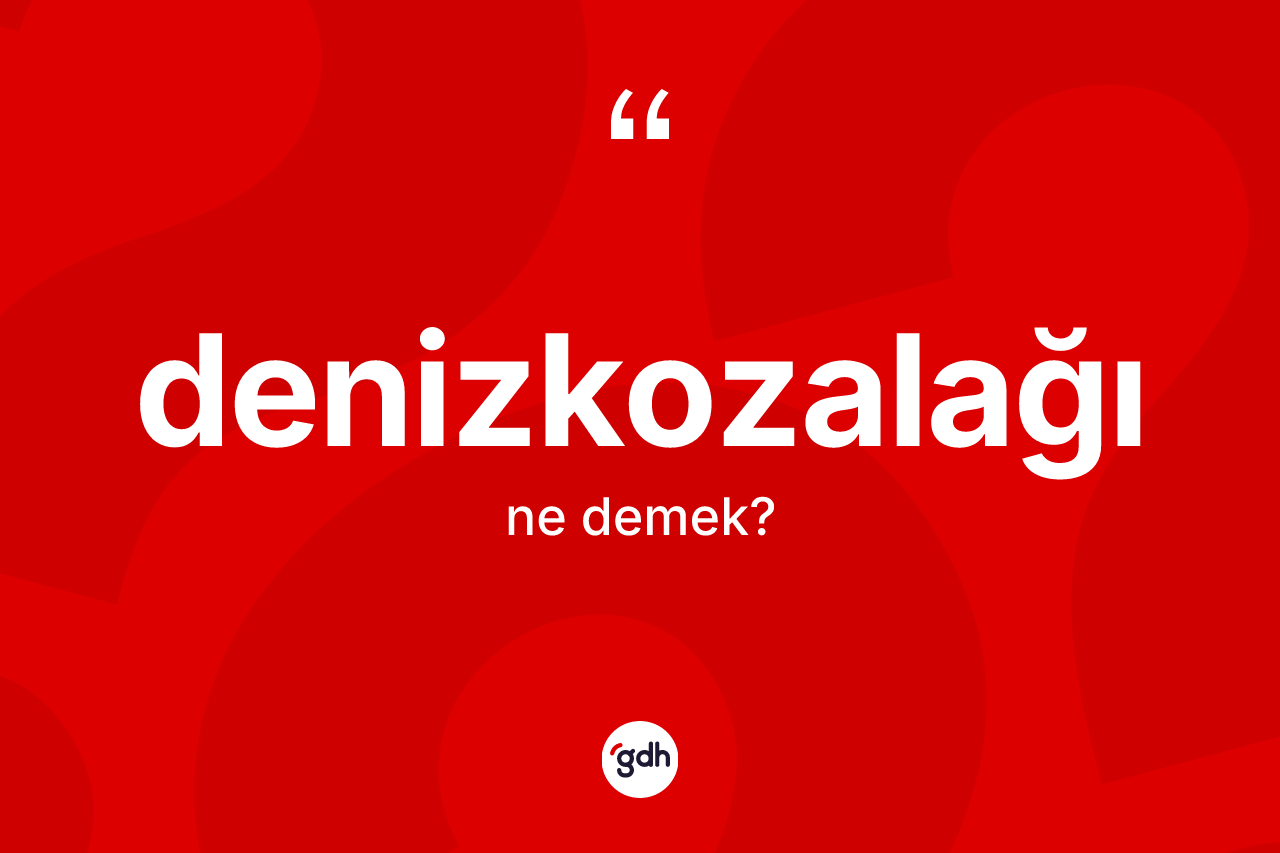 Denizkozalağı kelimesi nedir?