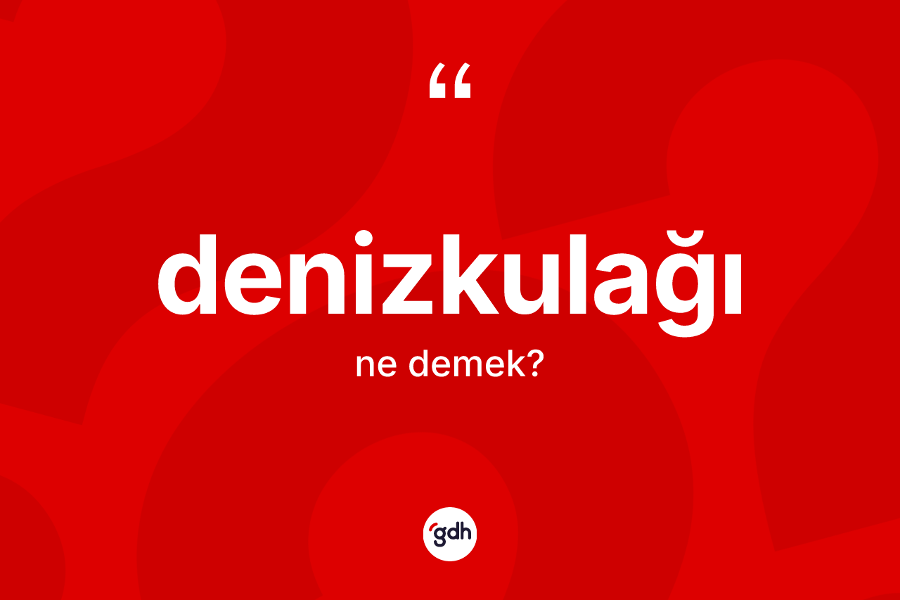Denizkulağı kelimesinin sözlükteki tanımı nedir? Denizkulağının TDK'ya göre anlamı nedir?