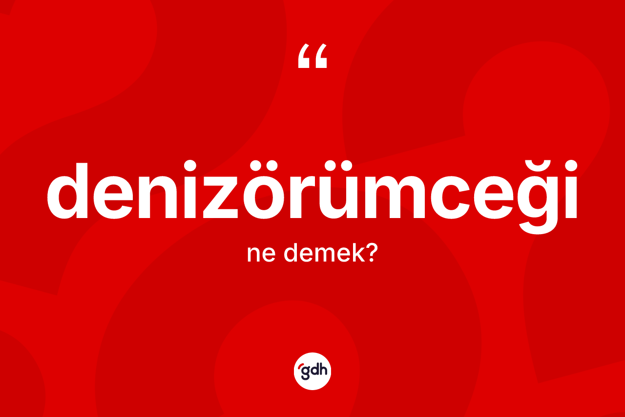 Denizörümceği ne demek? Denizörümceğinin sözlükteki anlamı nedir?