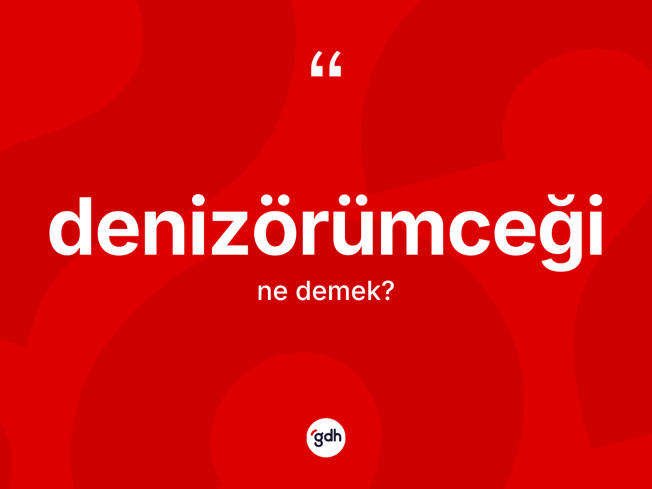 Denizörümceği ne demek? Denizörümceğinin sözlükteki anlamı nedir?