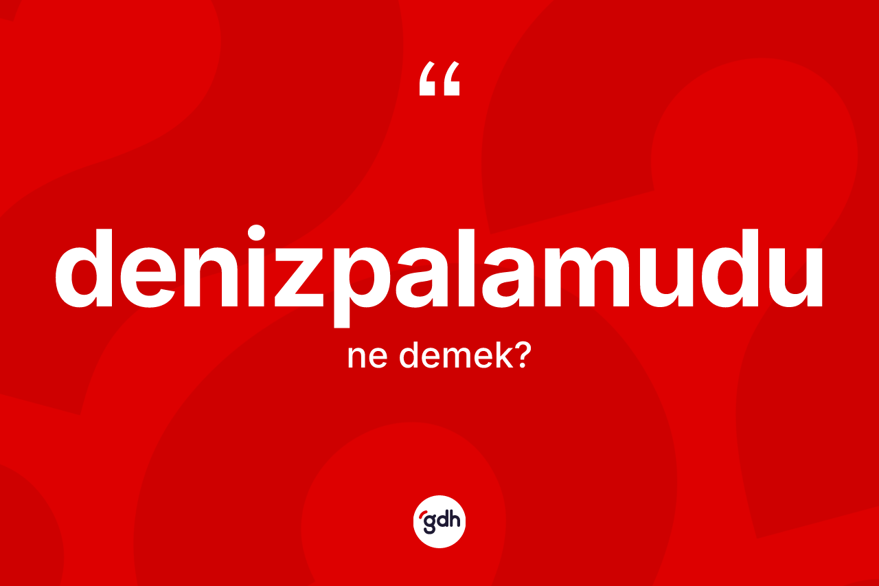 Denizpalamudu kelimesi nedir? Denizpalamudunun sözlükteki anlamı nedir?