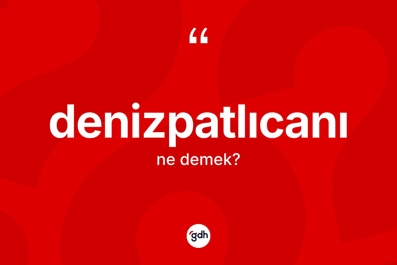 Denizpatlıcanı kelimesinin tanımı nedir? Denizpatlıcanının TDK'ya göre anlamı nedir?