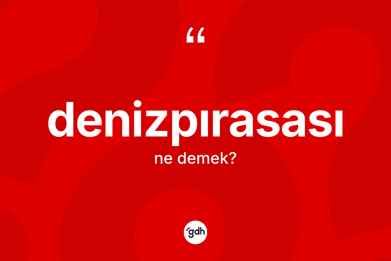 Denizpırasası ne anlama gelir? Denizpırasası kelimesinin TDK'ya göre açıklaması nedir?