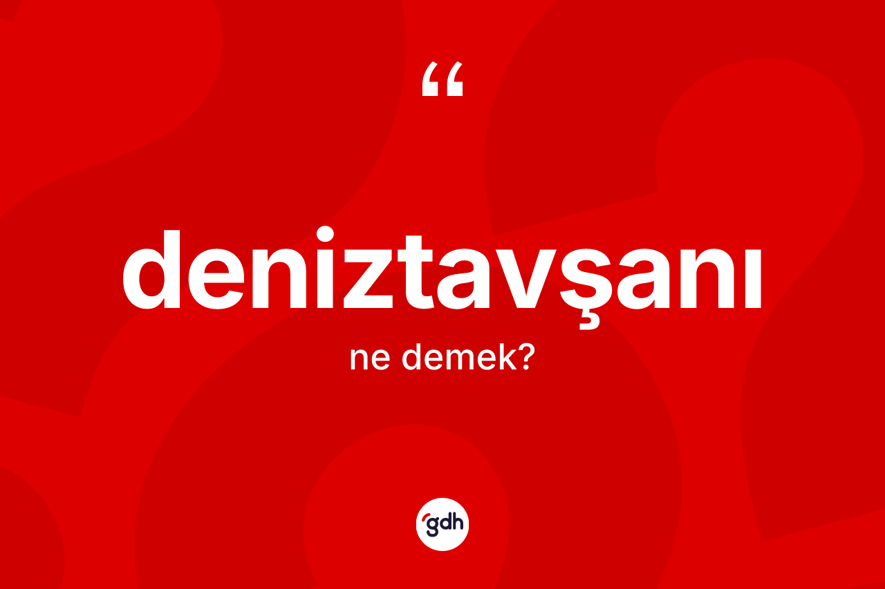 Deniztavşanı kelimesinin tanımı nedir? Deniztavşanının TDK'ya göre anlamı nedir?
