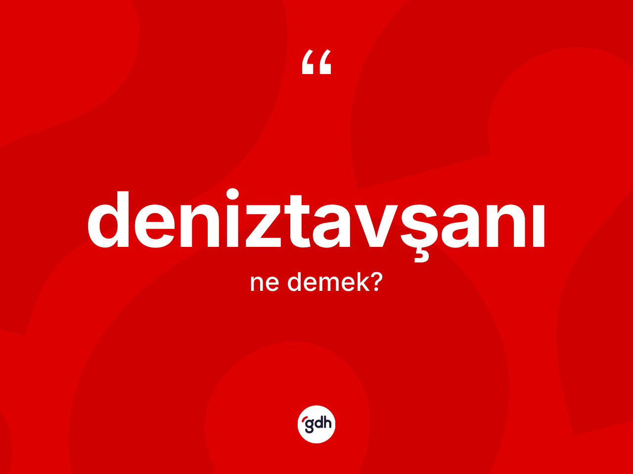 Deniztavşanı kelimesinin tanımı nedir? Deniztavşanının TDK'ya göre anlamı nedir?