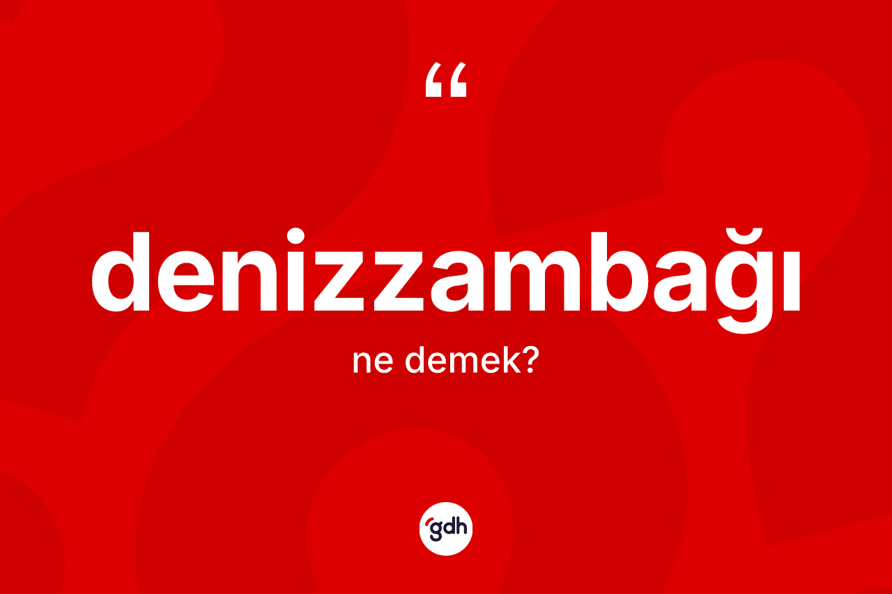 Denizzambağı kelimesi nedir? Denizzambağının halk arasındaki kullanımı nasıldır?