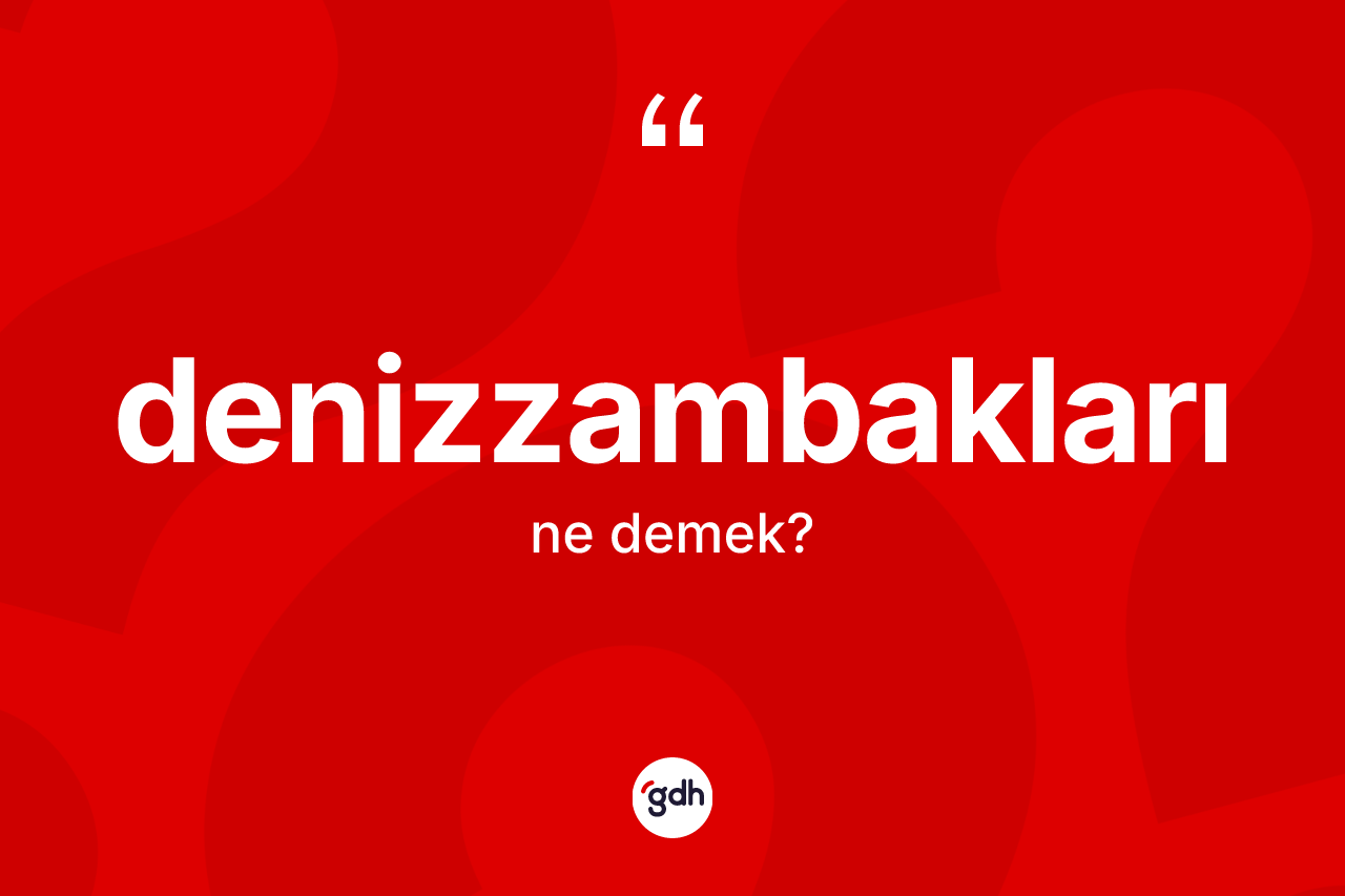 Denizzambakları kelimesinin tanımı nedir? Denizzambaklarının TDK'ya göre anlamı nedir?