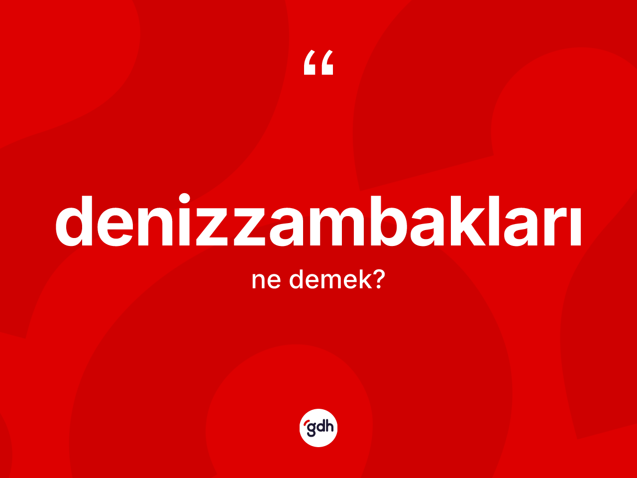 Denizzambakları kelimesinin tanımı nedir? Denizzambaklarının TDK'ya göre anlamı nedir?