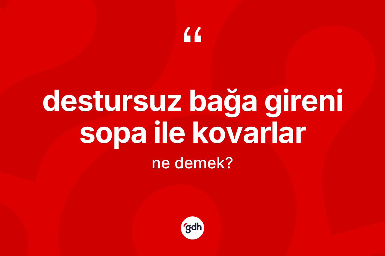 Destursuz bağa gireni sopa ile kovarlar ne demek? Destursuz bağa gireni sopa ile kovarlar ifadesinin TDK anlamı nedir?