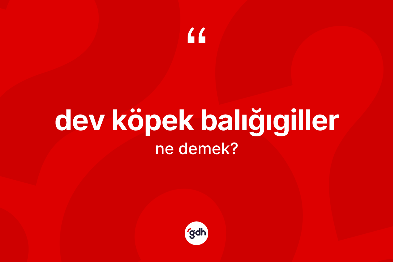 Dev köpek balığıgiller kelimesi ne demek? Dev köpek balığıgillerin kısaca tanımı nedir?