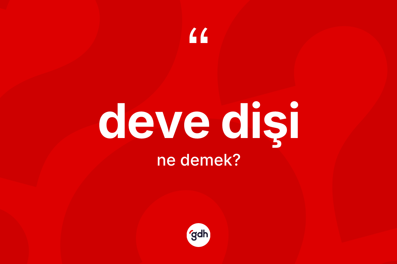 Deve dişi kelimesi ne anlama gelir? Deve dişi kelimesinin kaç farklı anlamı var?