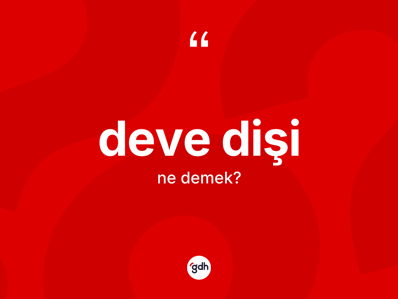 Deve dişi kelimesi ne anlama gelir? Deve dişi kelimesinin kaç farklı anlamı var?