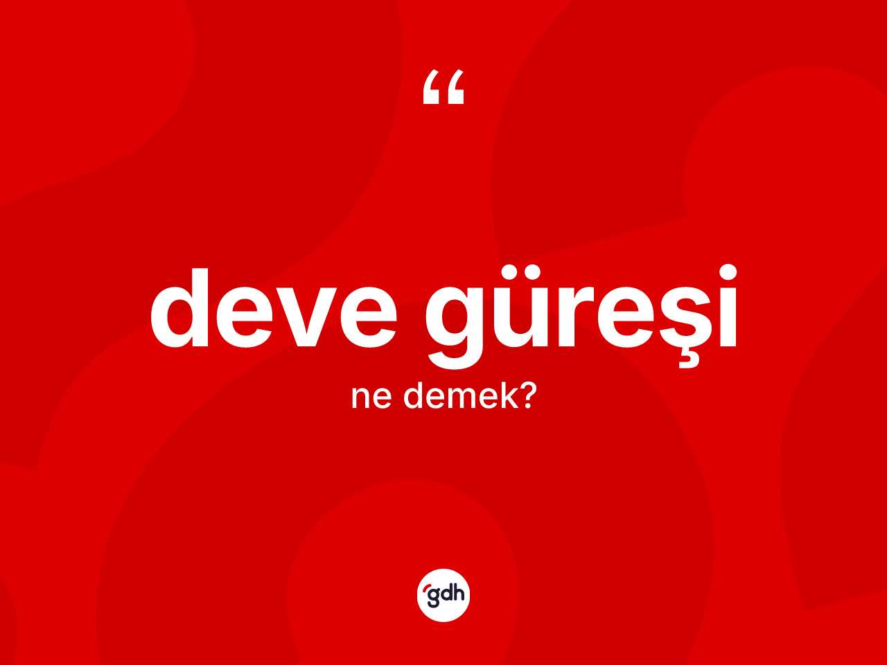 Deve güreşi nedir? Deve güreşi kelimesinin TDK'ya göre açıklaması nedir?