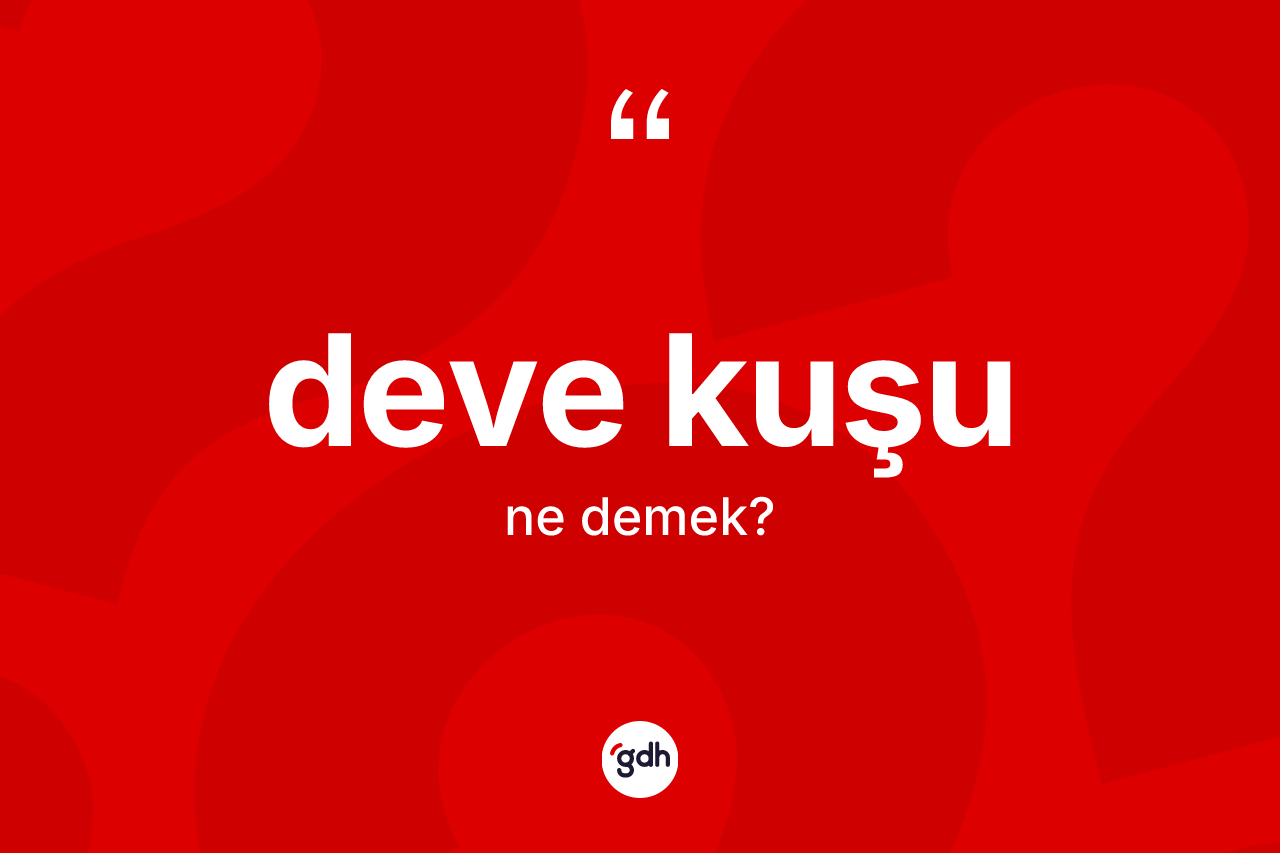 Deve kuşu kelimesinin anlamı nedir? Deve kuşunun TDK'ya göre anlamı nedir?