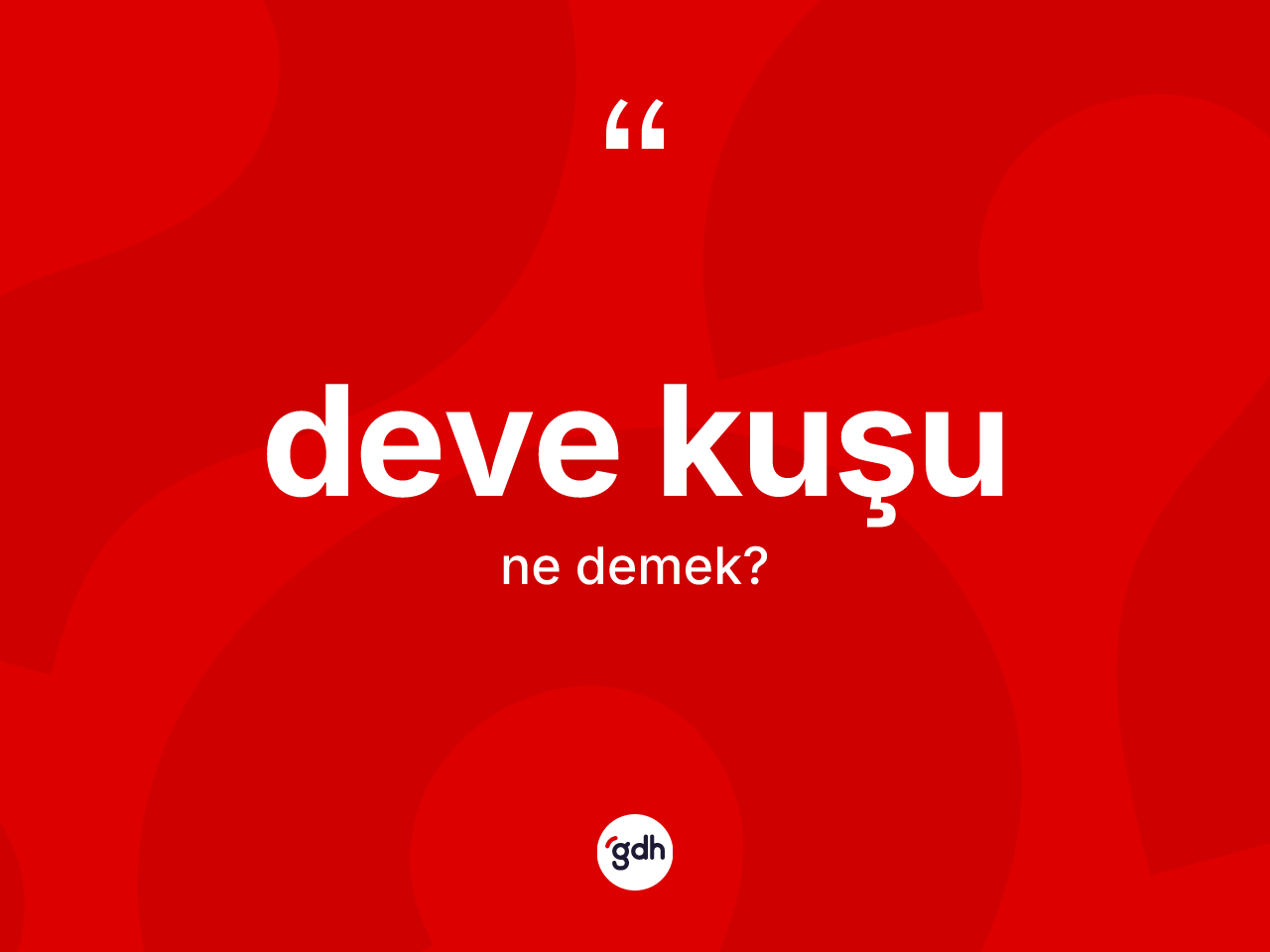 Deve kuşu kelimesinin anlamı nedir? Deve kuşunun TDK'ya göre anlamı nedir?