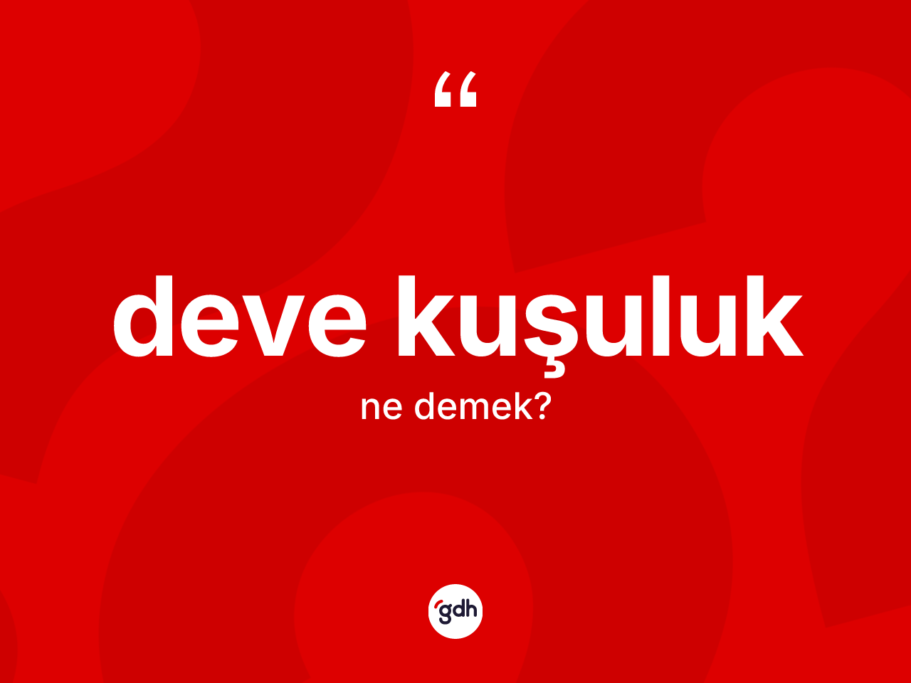 Deve kuşuluk kelimesi ne anlama gelir? Deve kuşuluğun TDK'ya göre anlamı nedir?