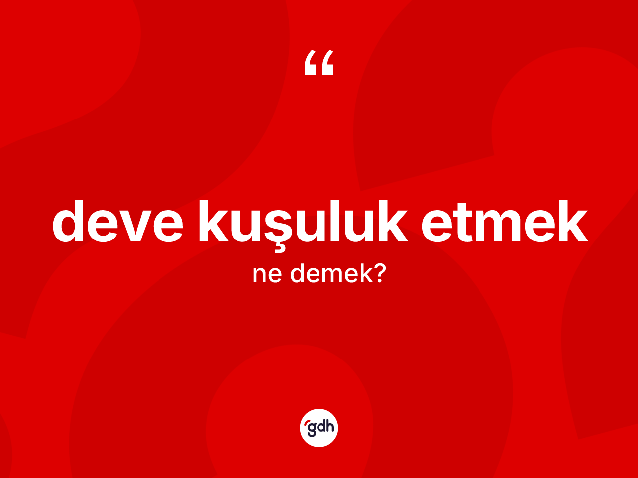 Deve kuşuluk etmek ne demek? Deve kuşuluk etmek ifadesinin TDK anlamı nedir?