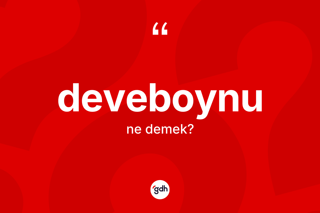 Deveboynu kelimesi nedir? Deveboynunun TDK'ya göre anlamı nedir?