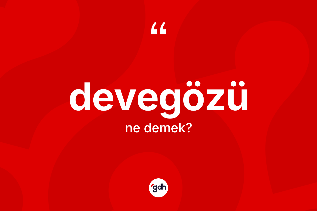 Devegözü kelimesinin sözlükteki tanımı nedir? Devegözünün TDK'ya göre anlamı nedir?