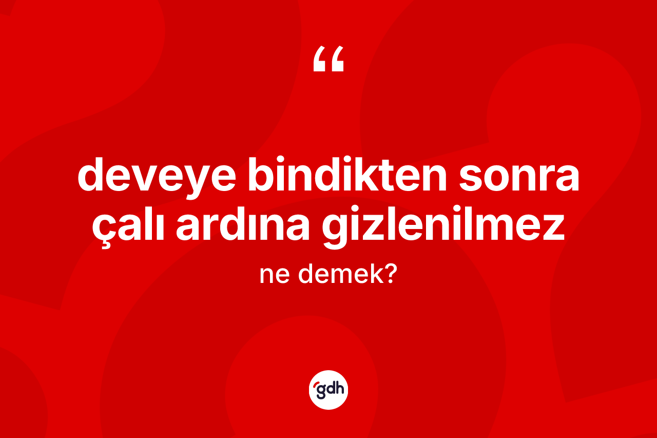 Deveye bindikten sonra çalı ardına gizlenilmez ifadesi ne demektir?