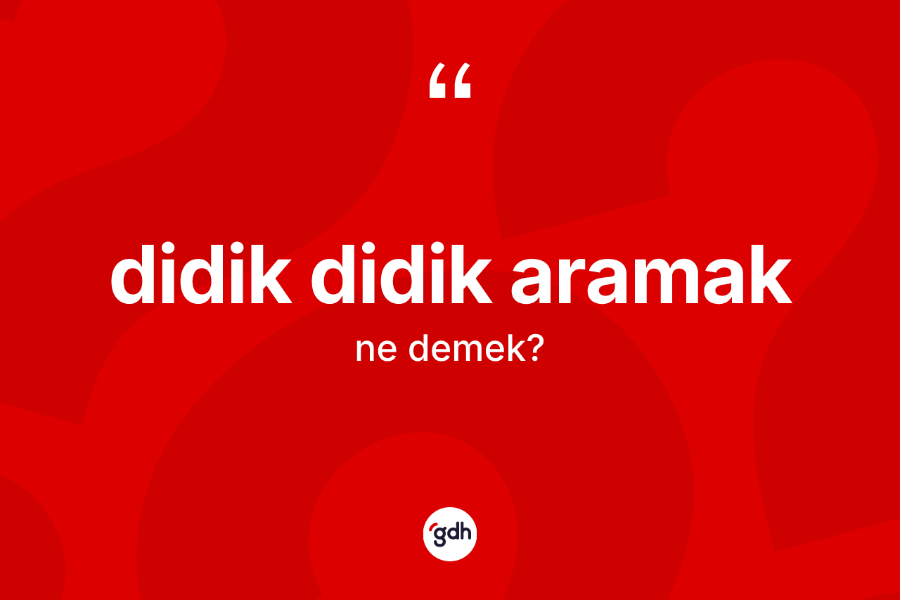 Didik didik aramak ifadesinin anlamı nedir?