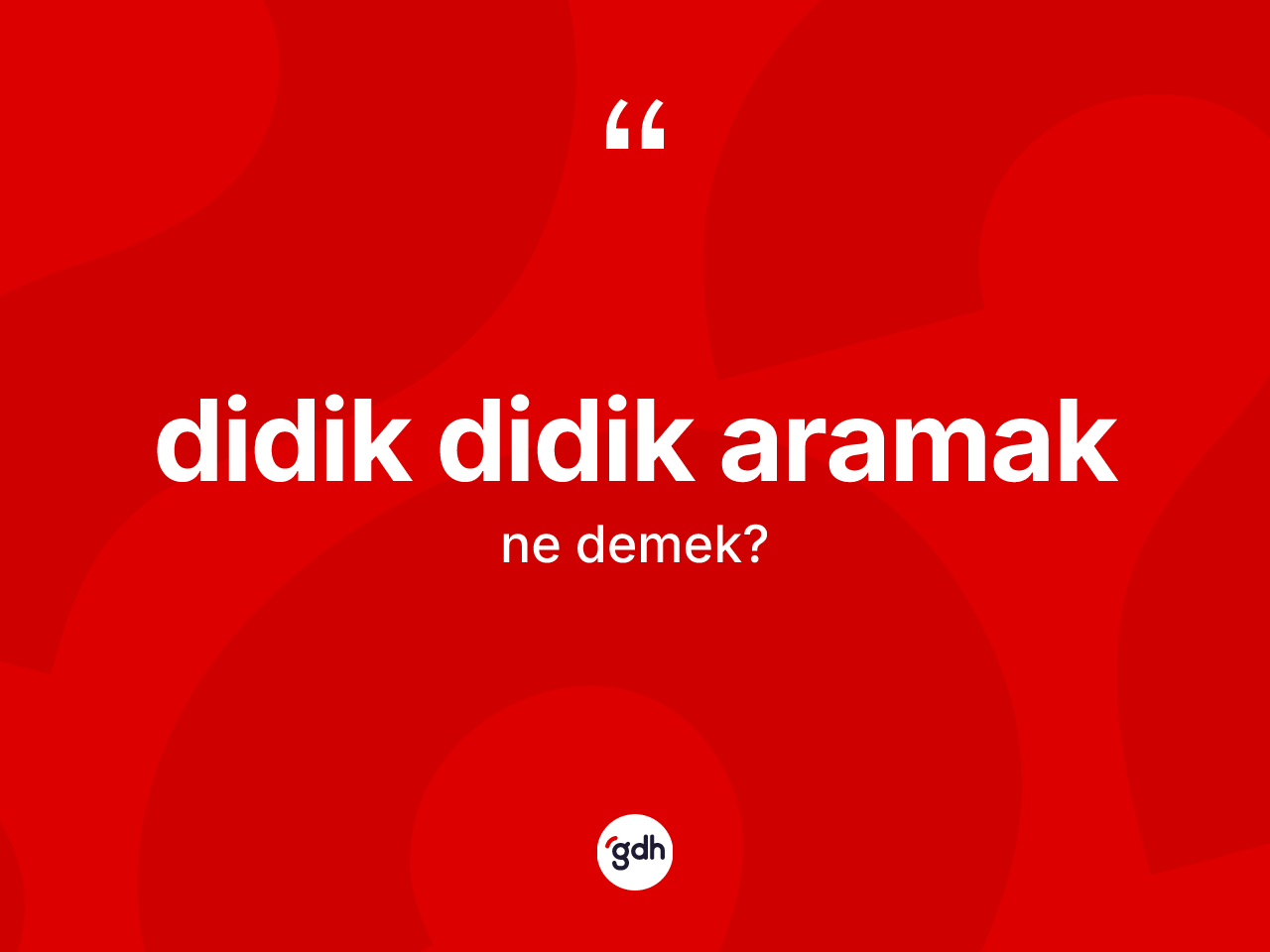 Didik didik aramak ifadesinin anlamı nedir? Didik didik aramak ifadesi hangi durumlarda kullanılır