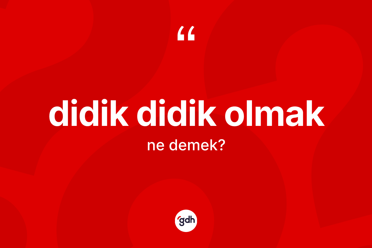Didik didik olmak ifadesinin anlamı nedir? Didik didik olmak ifadesinin TDK'ya göre anlamı nedir?