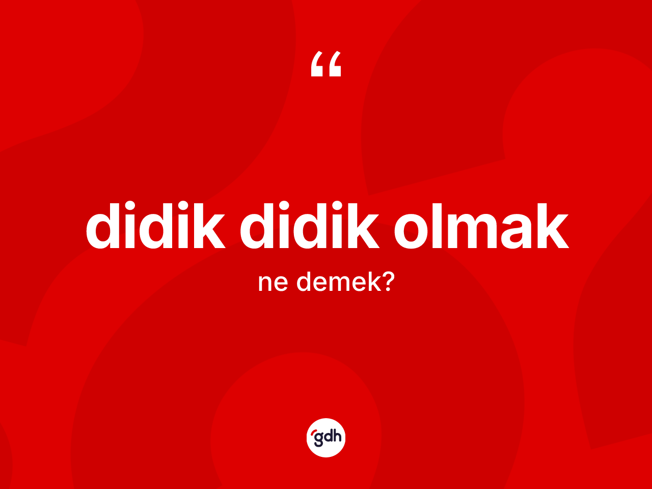 Didik didik olmak ifadesinin anlamı nedir? Didik didik olmak ifadesinin TDK'ya göre anlamı nedir?