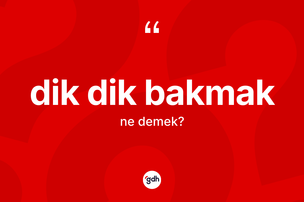 Dik dik bakmak sözü ne anlama gelir? Dik dik bakmak ifadesi nerede kullanılır?