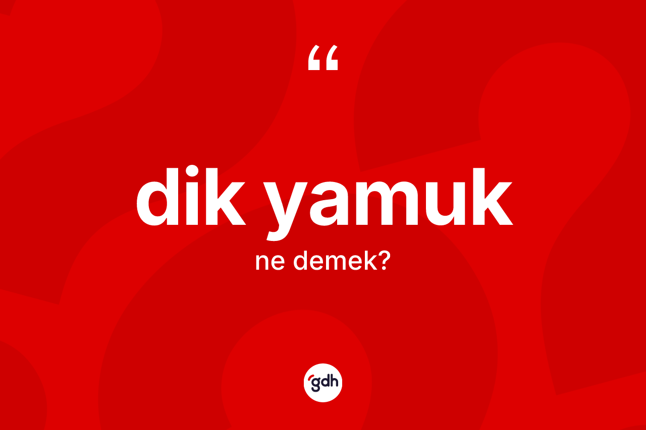 Dik yamuk ne demek? Dik yamuğun halk arasındaki kullanımı nasıldır?