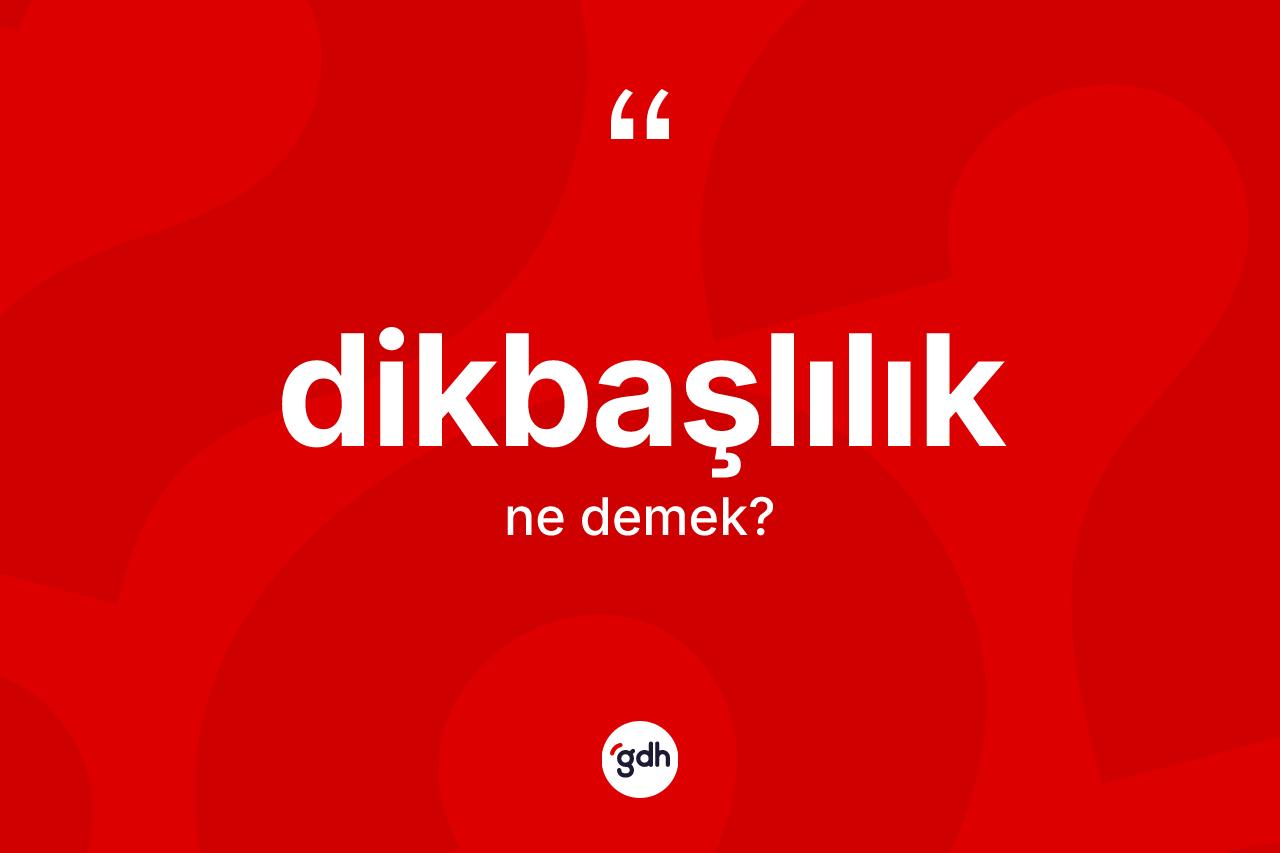 Dikbaşlılık ne demek? Dikbaşlılık kelimesinin özellikleri nelerdir?