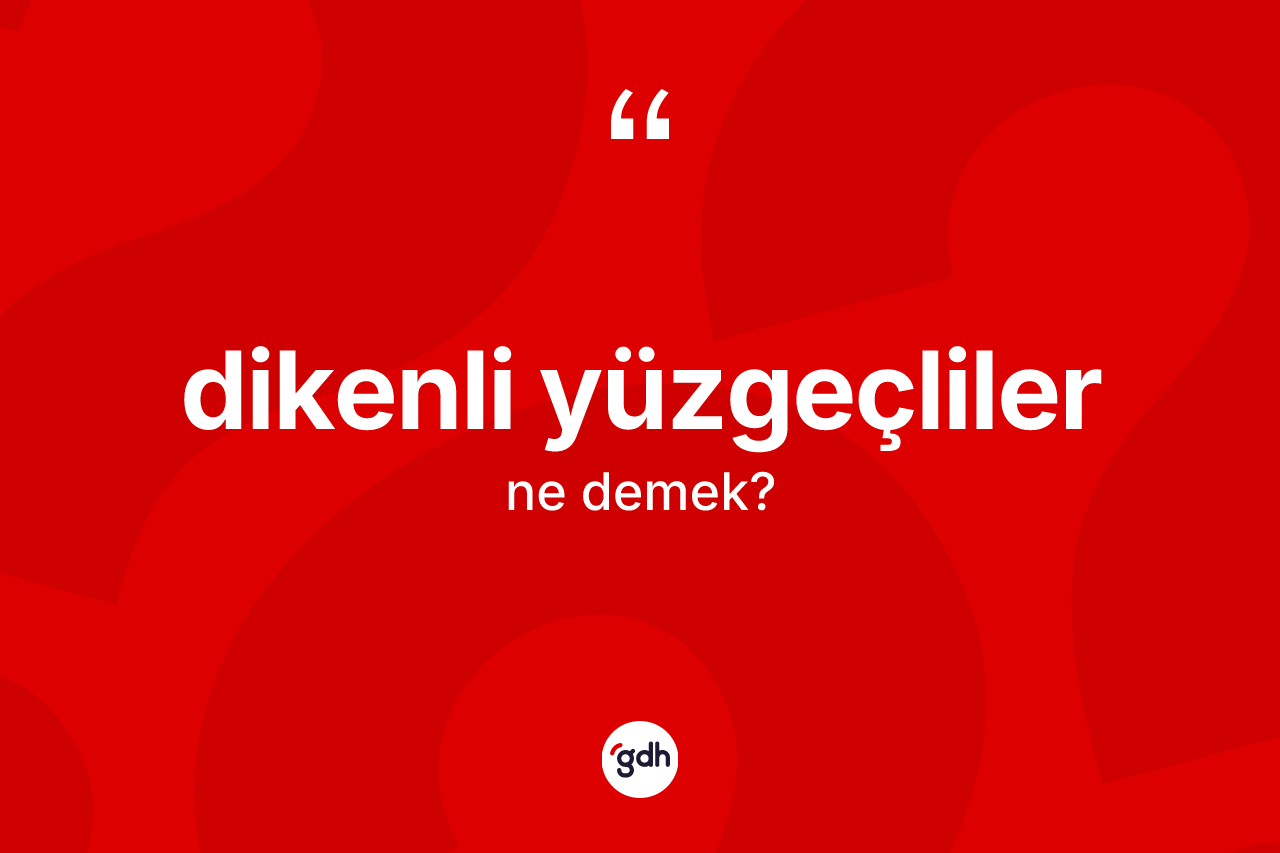 Dikenli yüzgeçliler ne anlama gelir? Dikenli yüzgeçliler kelimesinin TDK anlamı nedir?