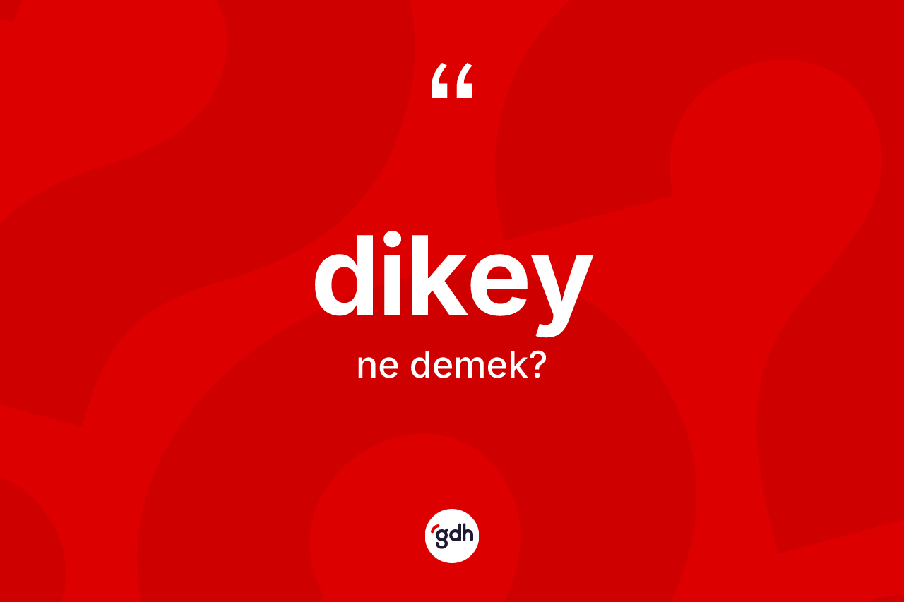 Dikey kelimesinin tanımı nedir? Dikeyin TDK'ya göre anlamı nedir?