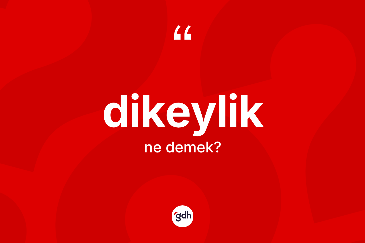 Dikeylik kelimesinin anlamı nedir? Dikeylik kelimesinin TDK anlamı nedir?