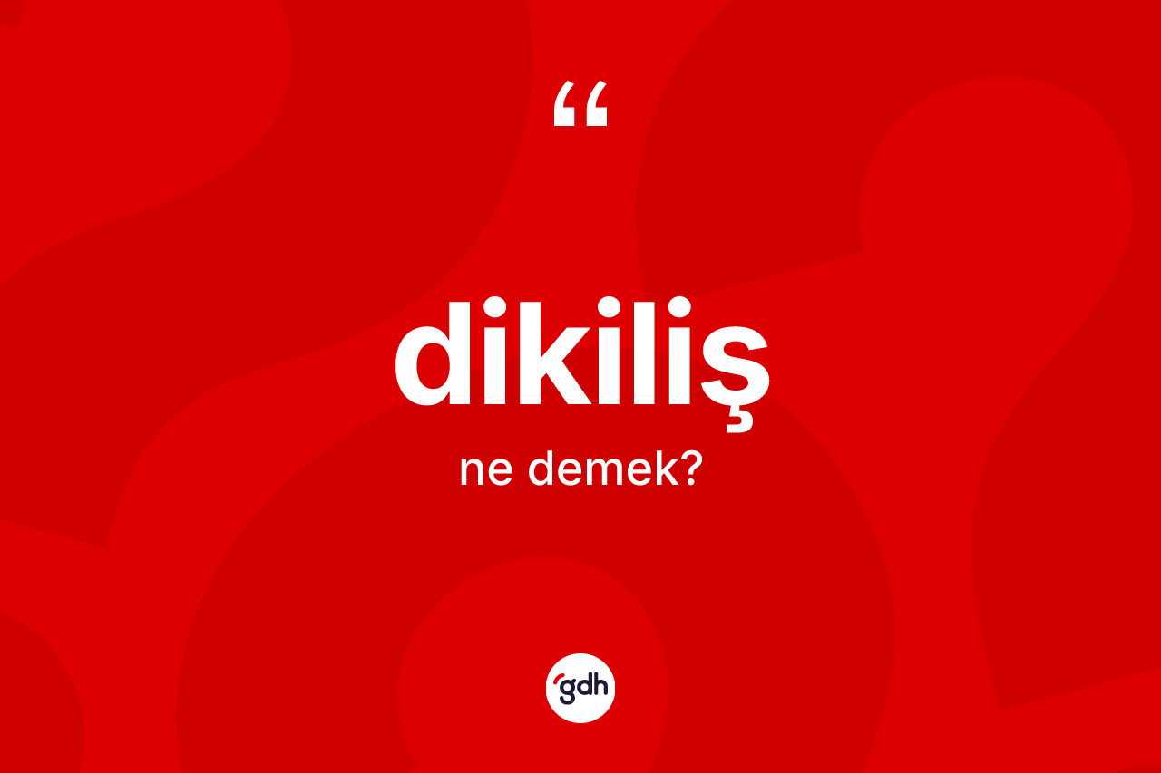 Dikiliş kelimesinin anlamı nedir? Dikiliş kelimesinin TDK'ya göre açıklaması nedir?