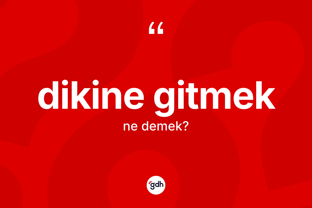 Dikine gitmek sözü ne anlama gelir? Dikine gitmek ifadesinin kaç farklı anlamı var?