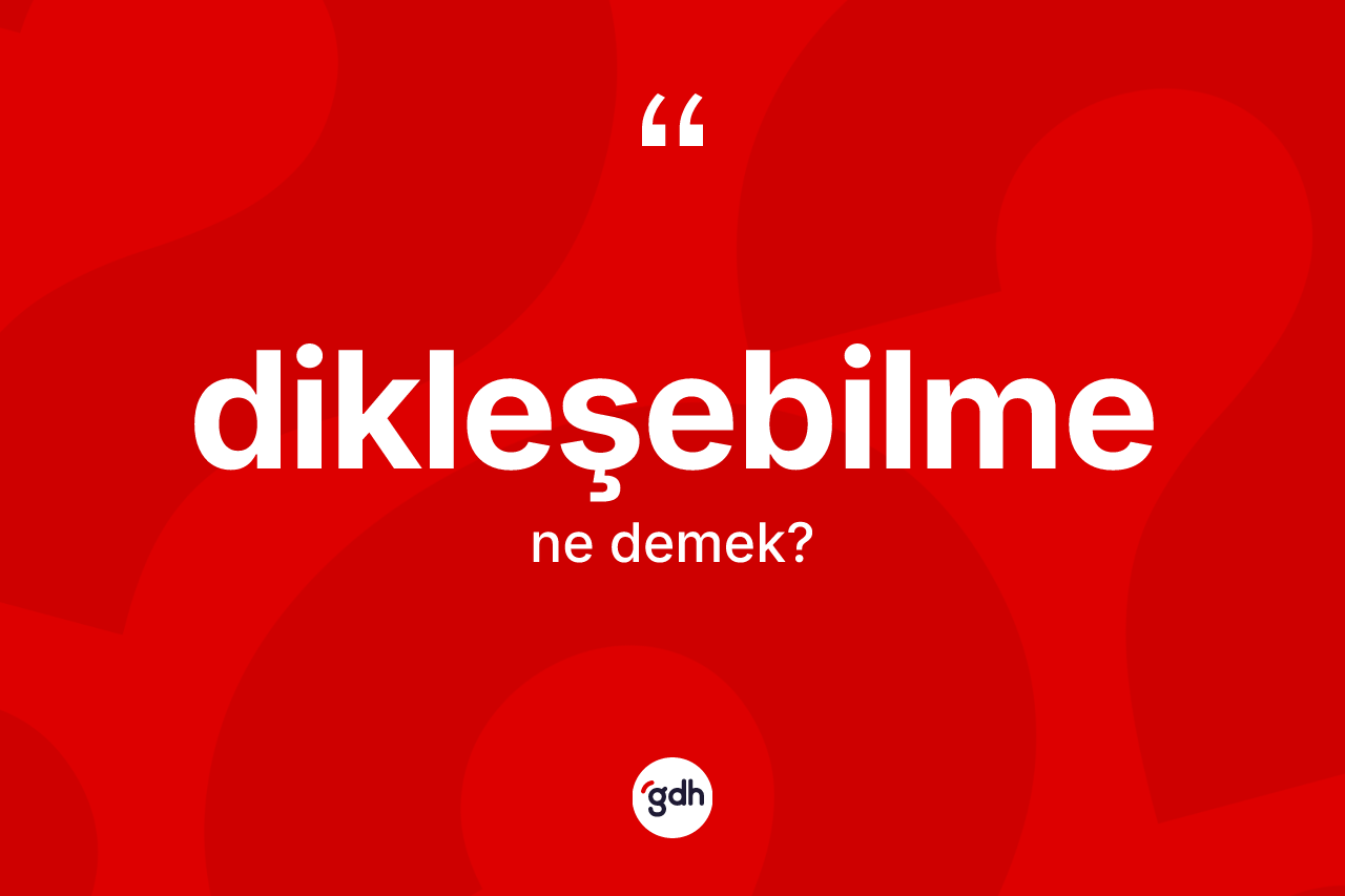 Dikleşebilme kelimesi ne demek? Dikleşebilme kelimesinin TDK'ya göre açıklaması nedir?