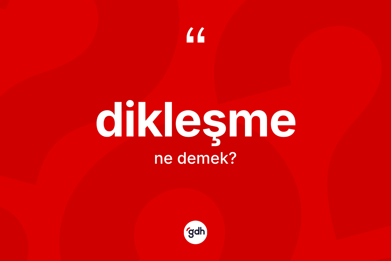 Dikleşme kelimesinin anlamı nedir? Dikleşmenin TDK'ya göre anlamı nedir?