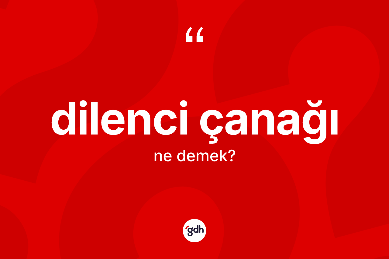 Dilenci çanağı kelimesinin sözlükteki tanımı nedir? Dilenci çanağının TDK'ya göre anlamı nedir?