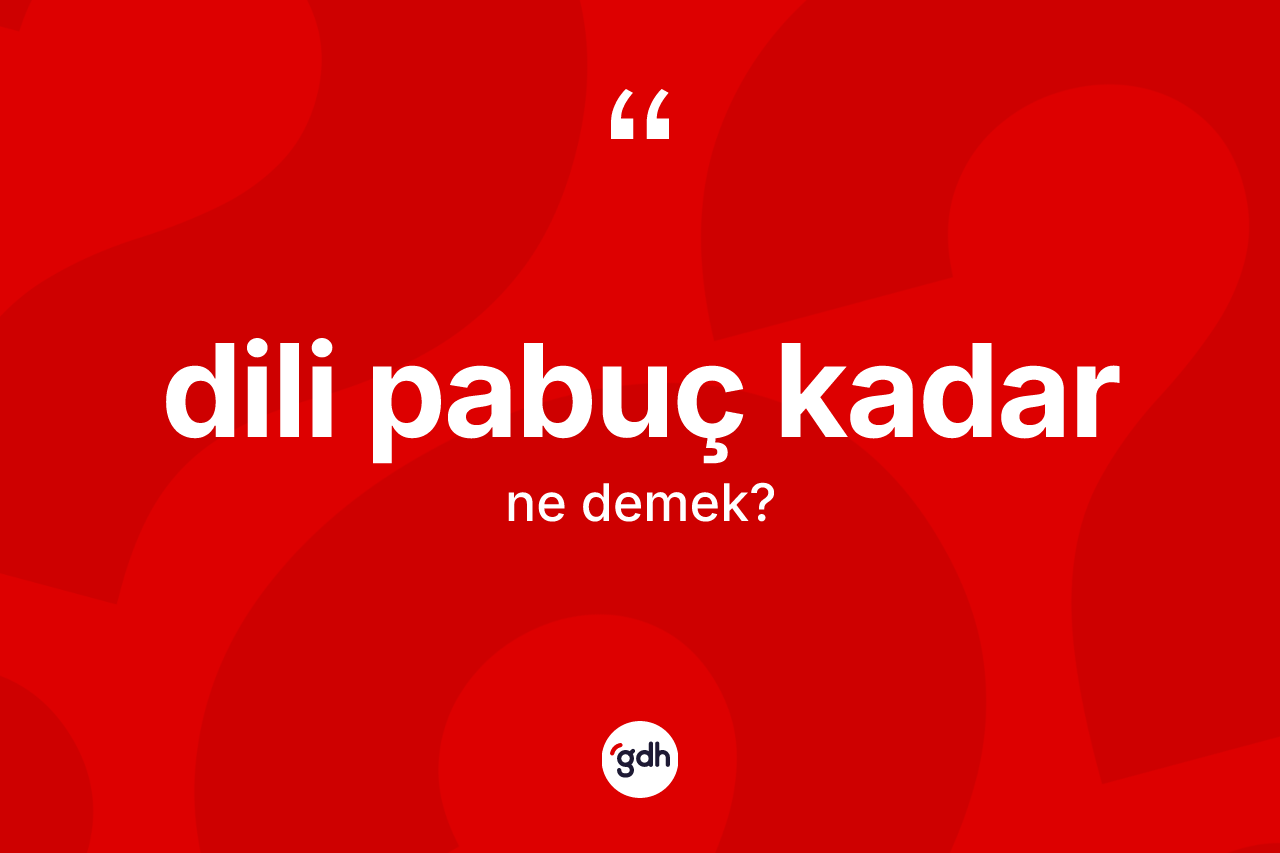 Dili pabuç kadar ifadesinin tanımı nedir? Dili pabuç kadar ifadesi nerede kullanılır?