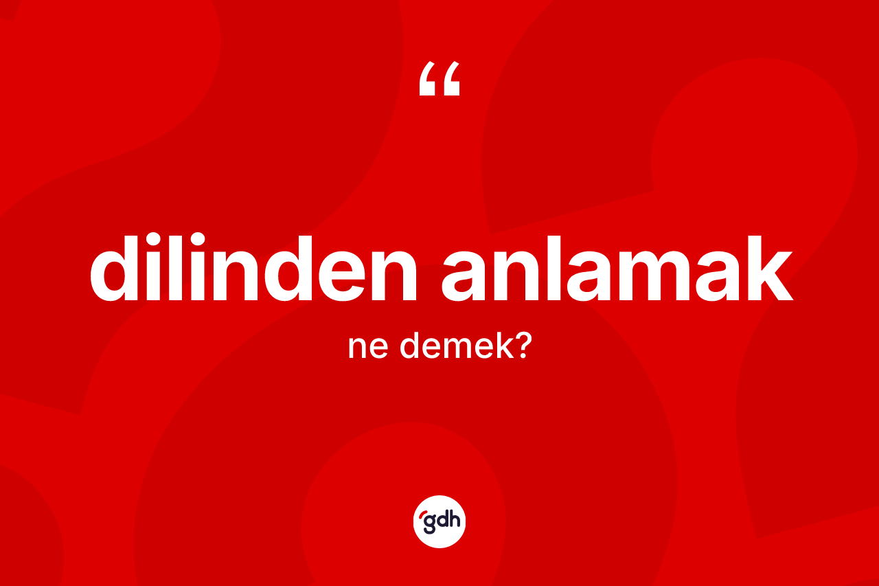 Dilinden anlamak ne demek?