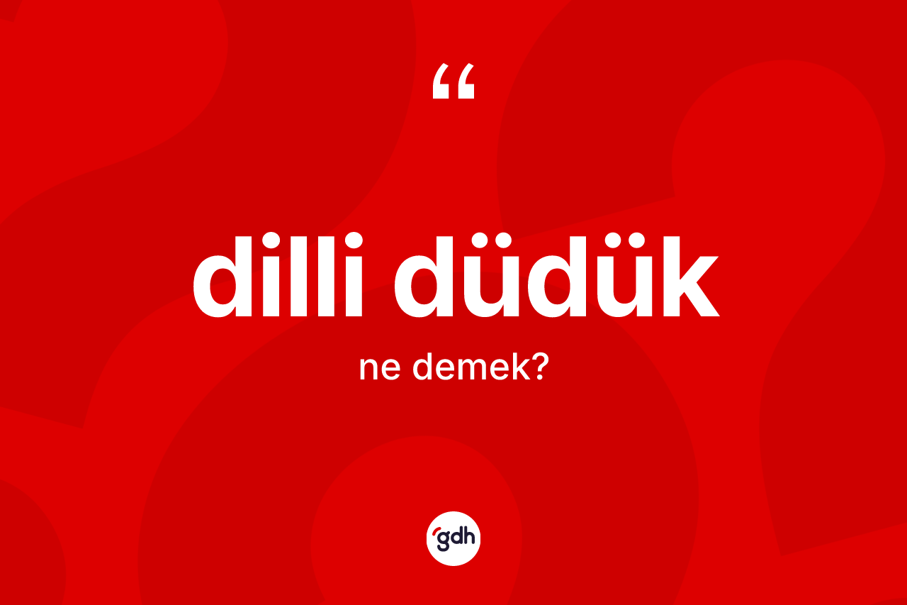 Dilli düdük kelimesi nedir? Dilli düdük kelimesinin özellikleri nelerdir?